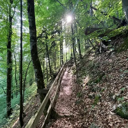 Beate Lejlighed Höchst