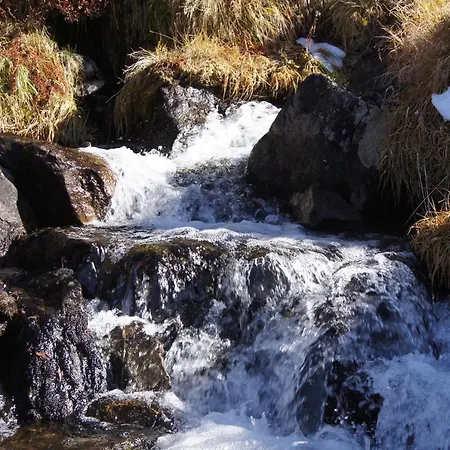 Beate Lejlighed Höchst