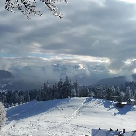 Lejlighed Beate Höchst