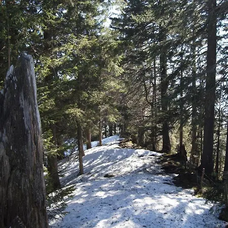 Beate Apartamento Höchst