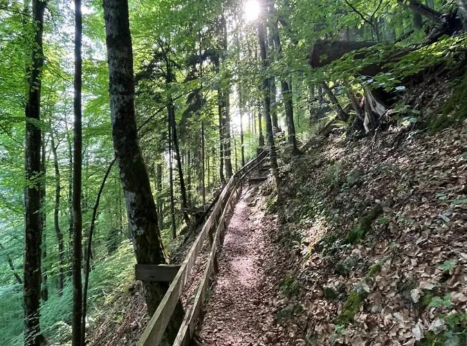 Beate Apartment Hoechst