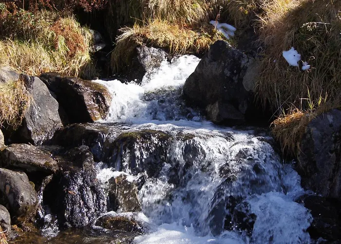 Beate Apartment Hoechst