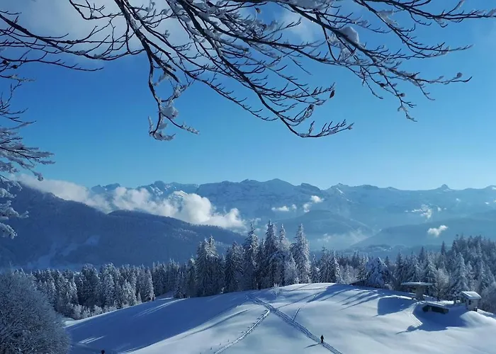 Apartment Beate Hoechst