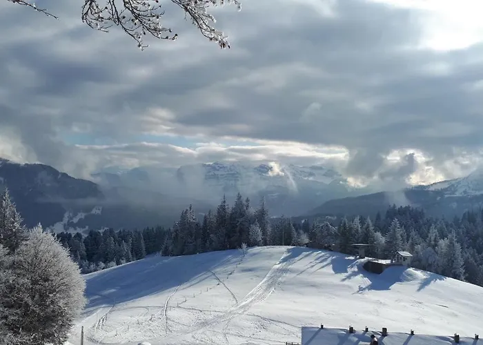 Apartment Beate Hoechst